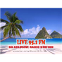 Live 95.1FM logo