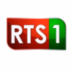 Chaîne Nationale RTS logo