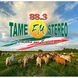Tame Fm Stereo 88.3 logo