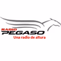 True Life In God Radio Nepali logo