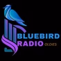 Bluebird Radio - Oldies logo