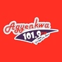 Agyenkwa FM 101.9 logo