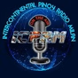 ICPRM Network Group logo