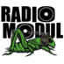 Radio Modul logo