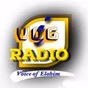 VOG i RADIO logo