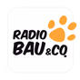 Radio 105 - Radio Bau & Co logo