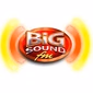BiG SOUND fm - DWWG logo
