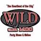 104.1 FM WJLD - WJLD logo