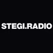 Stegi Radio - The Other Side logo