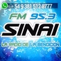 Radio Sinai FM logo