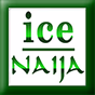 Ice Naija logo