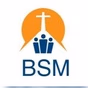 BSM Radio-TV logo