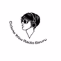 Ciclone Web Radio Bauru logo
