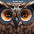 Radio Boof - Featured Persian logo
