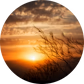 Open FM - Dobry Wieczór logo
