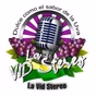 La Vid Stereo logo