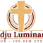 Radju Luminaria logo