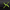 Triple X Radio logo