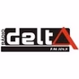 Radio Delta FM logo