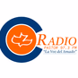 Radio Pastor 97.3 FM Stereo logo