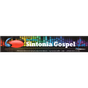 Radio Sintonia Gospel FM logo