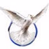 Parajsa Radio logo