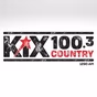 KiX 100.3 - W262DI logo