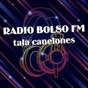Radio Bolso FM logo