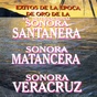 Miled Music - Sonora Matancera & Santanera logo