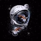 AceSpace Radio logo