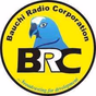 BRC Radio Bauchi logo