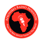 Afrovibes Radio Houston logo