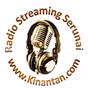 Radio Streaming Serunai logo