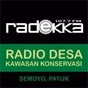 Radekka FM logo