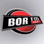 Bor FM logo
