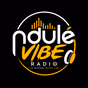 Ndulé vibe logo