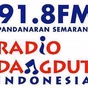 RDI FM 91.8 logo