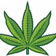 Green Flower Dispensary Radio Logo