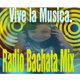 Radio Bachata Mix Logo