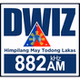 DWIZ 882 - DWIZ logo