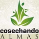 Cosechando Almas logo