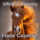GRI Radio Network - GRI BIG Country Logo