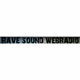 Rave Sound Webradio Logo