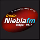 Radio Niebla FM 95.7 Logo