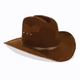 True Country Internet Radio Logo