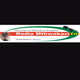 Radio Mthwakazi FM Logo