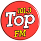 Top FM 101.3 Logo