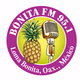BONITA FM 95.1 Logo