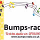 kingfisher-radio - Bumps Logo