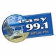 Easy 99.1 - WPLM-FM logo
